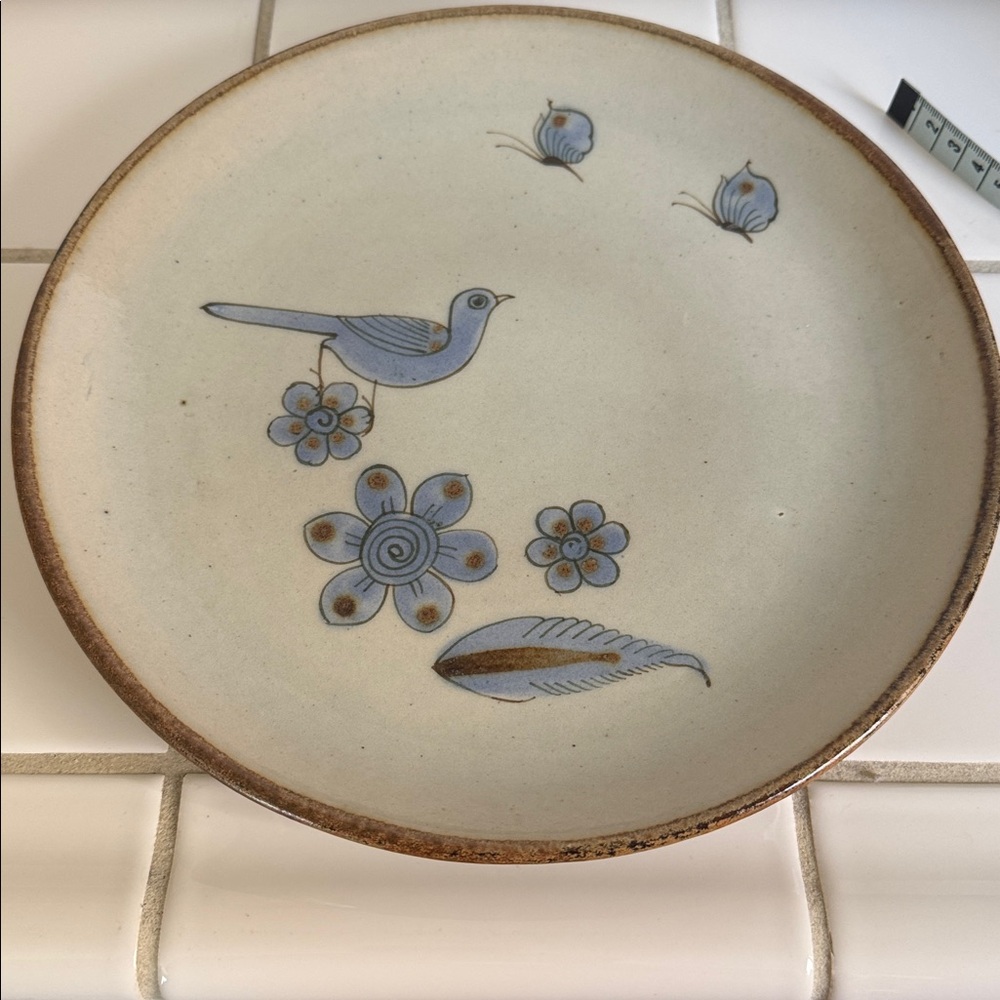 Ken Edwards Mexican TONALA POTTERY El Palomar 10” plate #2 🐈‍⬛